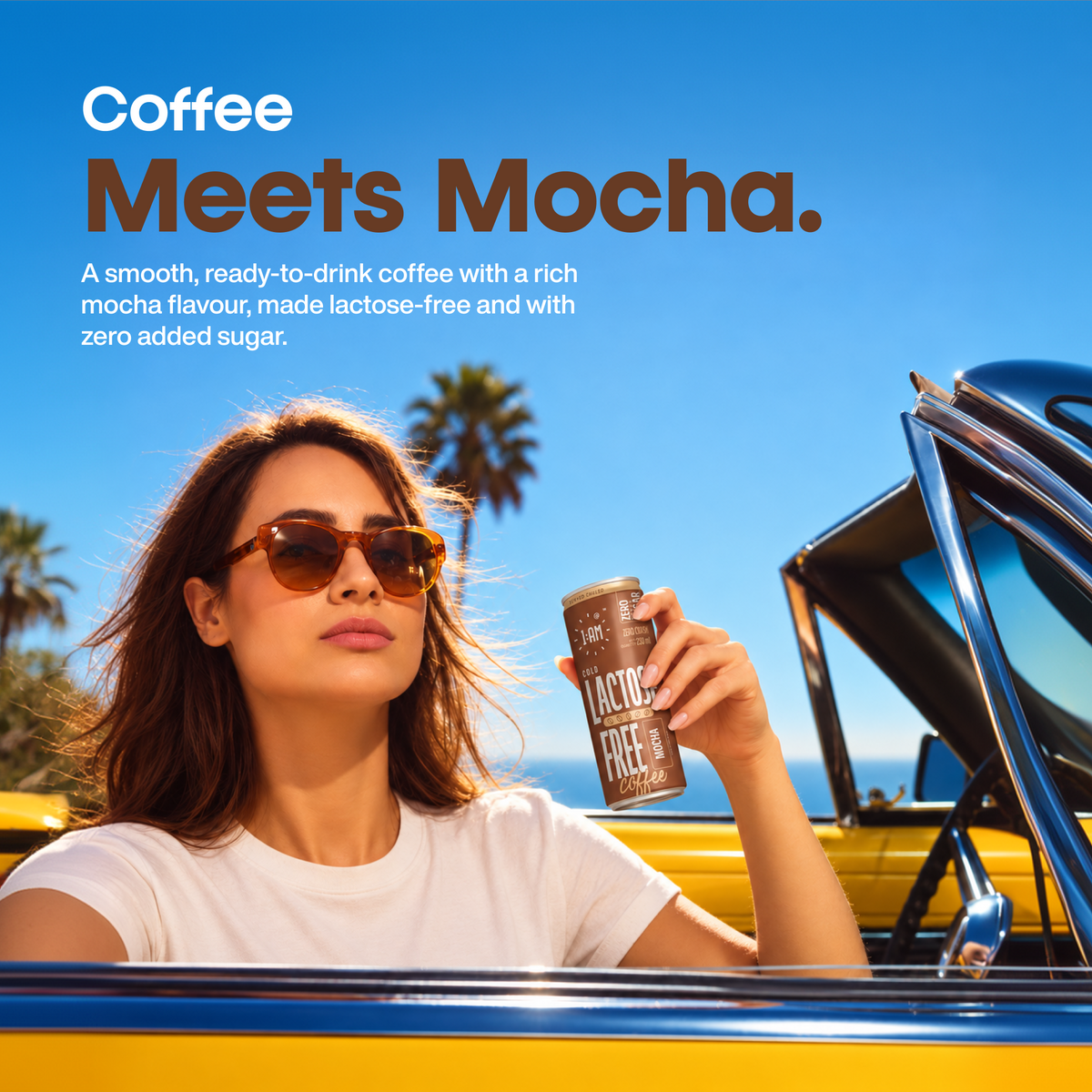 Lactose-Free Mocha Cold Coffee